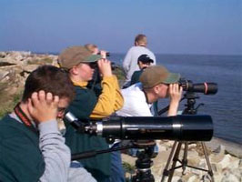 World-class Bird watching. 